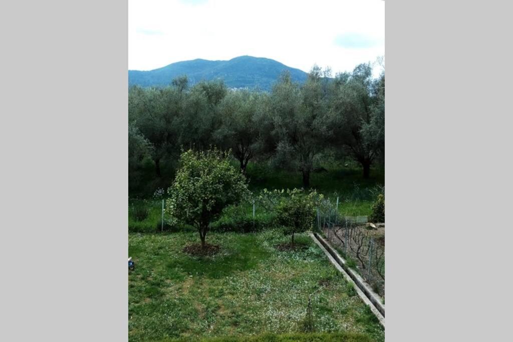 Υπεροχη Διαμονη... Achílleion Buitenkant foto